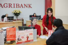 附图 图自越通社