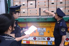 老街省海关人员在老街省金城国际陆路口岸检查进口货物。 图自越通社