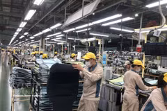 丰田纺织（河内）公司的生产活动 图自越通社