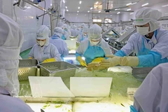 VietFarm的芦荟生产线 图自越通社 