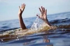 5名越南实习生在海上事故中落水 越南驻日本大使馆开展公民保护工作 