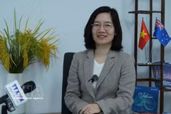 越南驻澳大利亚商务处负责人陈氏青美 图自越通社