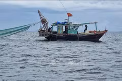 附图 图自越通社