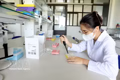 泰平种子集团股份公司应用科技开展高产优质农作物新品种研发。图自越通社