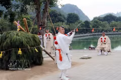 2025年11月15日至16日，越日佛教文化交流节在宁平省三谷国家旅游区举行，吸引了国内外数千名僧尼、佛教徒及日本游客参与。图自越通社