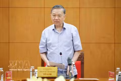 越共中央总书记、国家主席苏林发表讲话 图自越通社