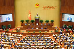 会议场景 图自越通社