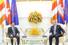 陈锦秀会见柬埔寨首相洪玛奈 图自越通社