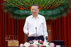 越共中央总书记、国家主席苏林主持召开指导委员会第一次会议 图自越通社