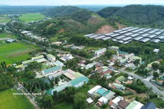 林同省达得县（Đạ Tẻh）的交通系统得到投资升级，为完善基础设施、促进经济社会发展作出了贡献。图片来源：越通社