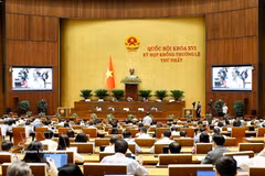 会议场景。图自越通社