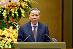 越共中央总书记苏林发表讲话 图自越通社