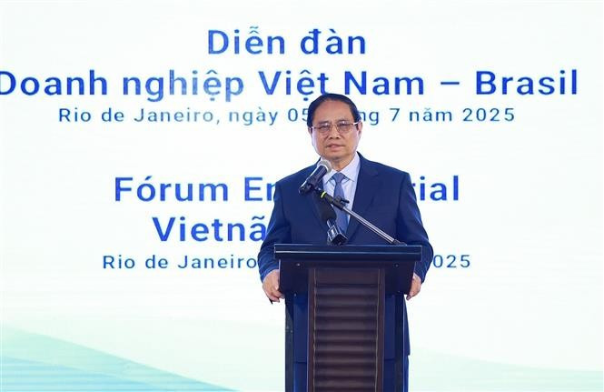 范明政总理在座谈会上发表讲话。图自越通社