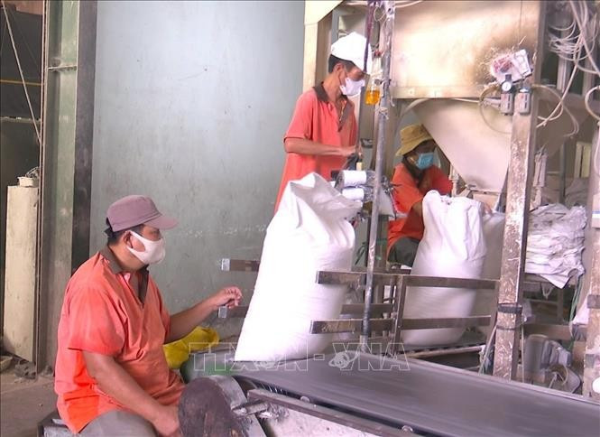 新同进股份公司生产活动。图自越通社