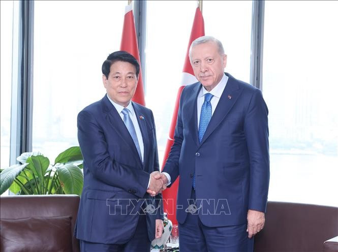 越南国家主席梁强在纽约会见土耳其总统雷杰普·塔伊普·埃尔多安。图自越通社