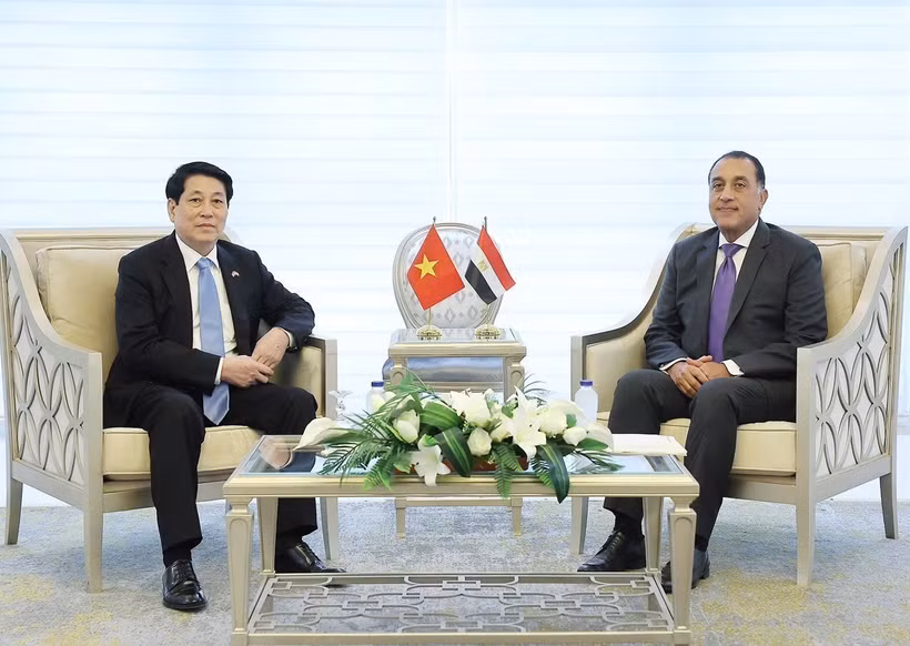 国家主席梁强会见埃及总理马德布利。图自越通社 