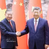 越南共产党中央委员会总书记、越南社会主义共和国主席苏林与中国共产党中央委员会总书记、中华人民共和国主席习近平。图自越通社
