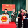 越南全国迎接第十六届国会代表和2026-2031年任期各级人民议会代表选举。图自越通社