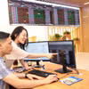 客户在保越证券公司总部进行交易。图自越通社
