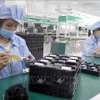 附图。图自越通社