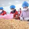腰果包装环节。图自越通社