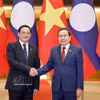 越南国会主席陈青敏与老挝政府总理宋赛·西潘敦。图自越通社