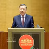 越共中央总书记、国家主席苏林在会上发表讲话。图自越通社