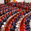 出席越共十四届二中全会开幕会的代表。图自越通社