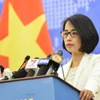 越南外交部发言人范秋姮。图自《政府门户网站》