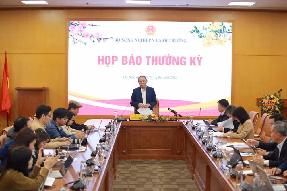 hop-bao1-20260106155243.jpg