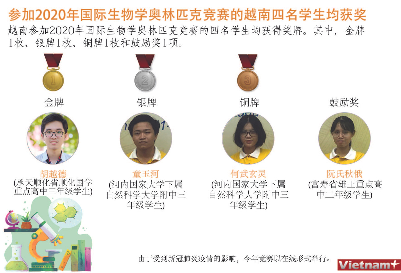 图表新闻：参加2020年国际生物学奥林匹克竞赛的越南四名学生均获奖 ảnh 1
