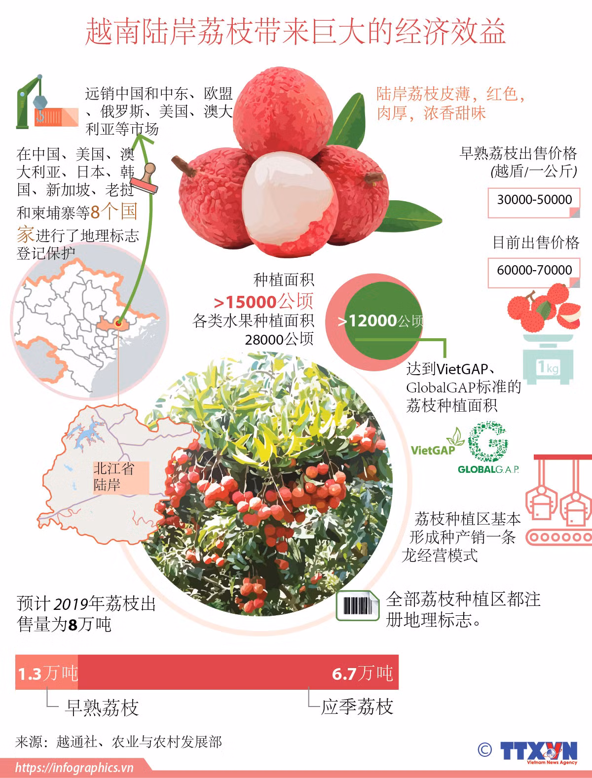 图表新闻：越南陆岸荔枝带来巨大的经济效益 ảnh 1