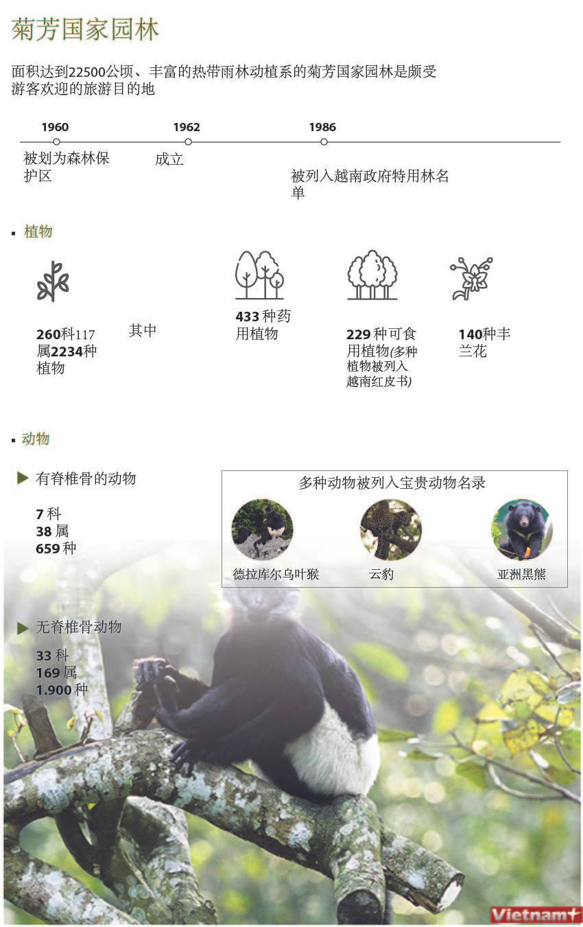 图表新闻：菊芳国家园林 ảnh 1