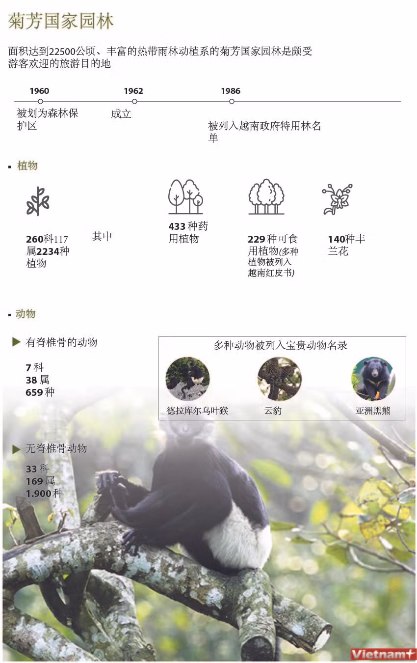 图表新闻：菊芳国家园林 ảnh 1