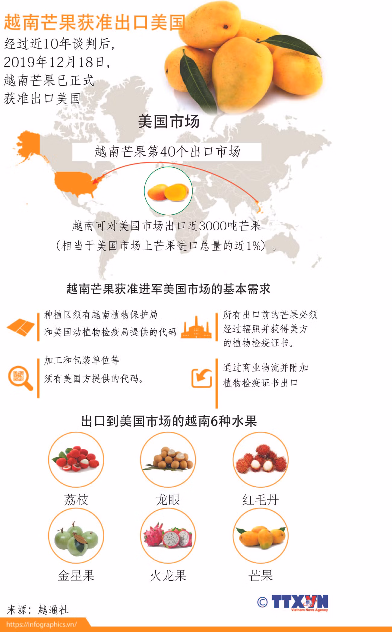 图表新闻：越南芒果获准出口美国 ảnh 1