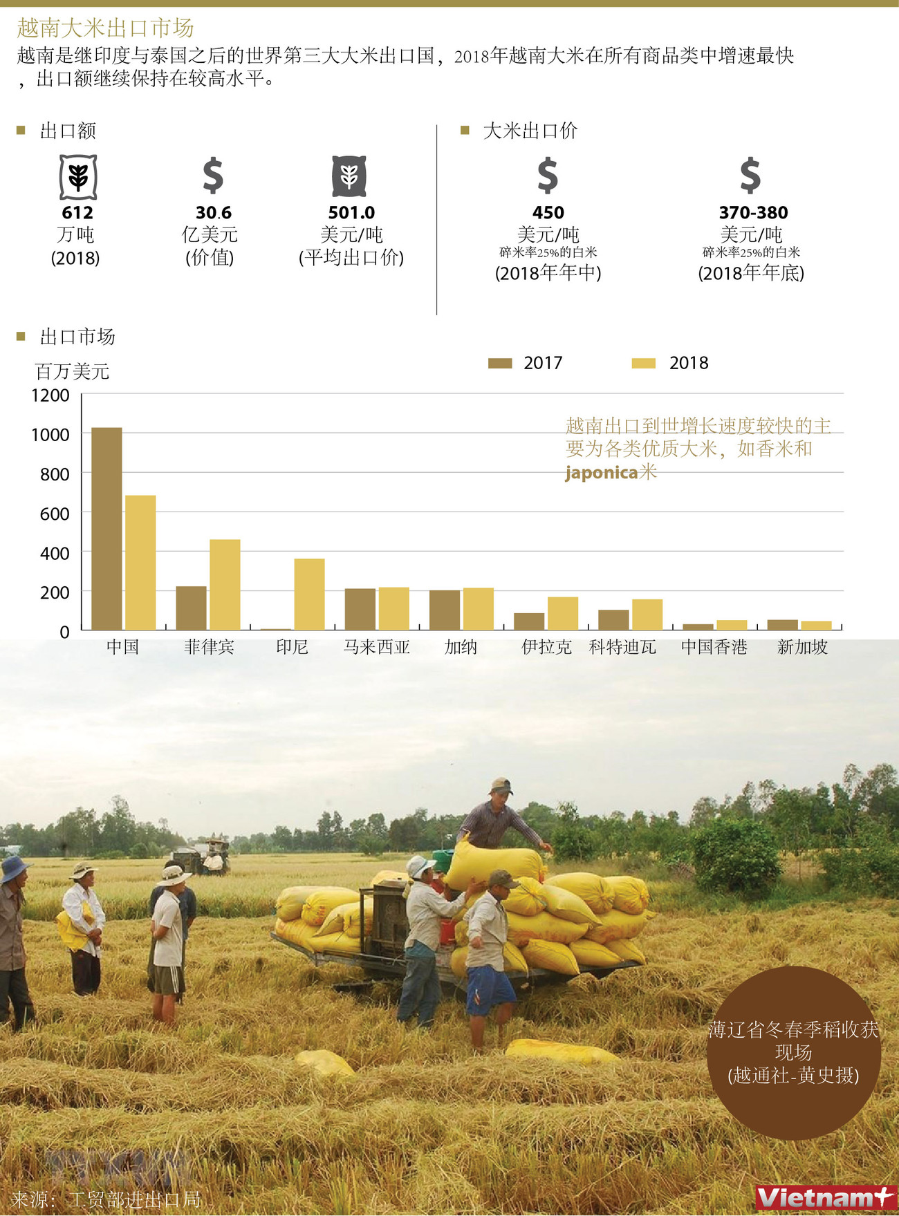 图表新闻：越南大米出口市场 ảnh 1