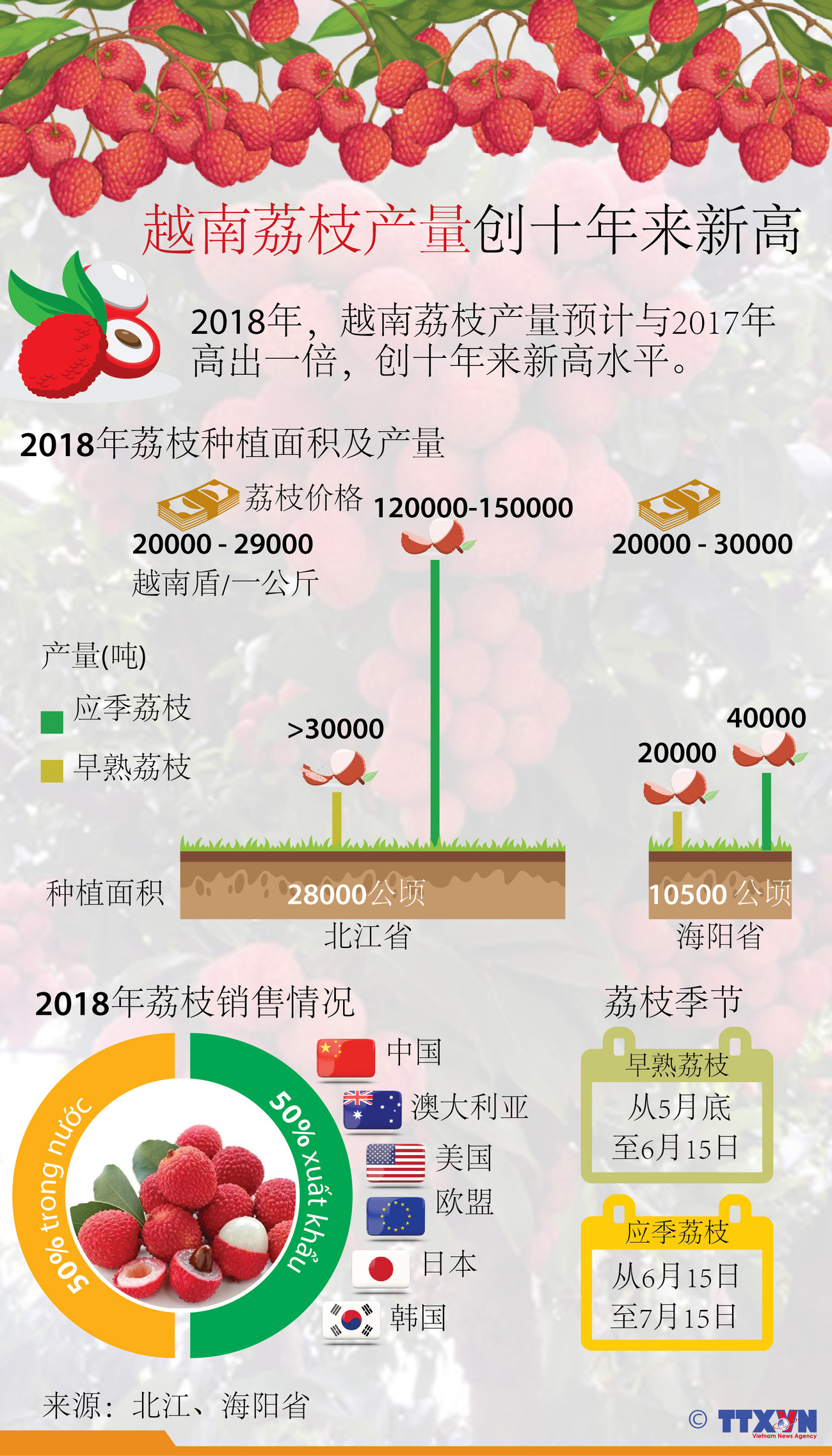 图表新闻：越南荔枝产量创十年来新高 ảnh 1