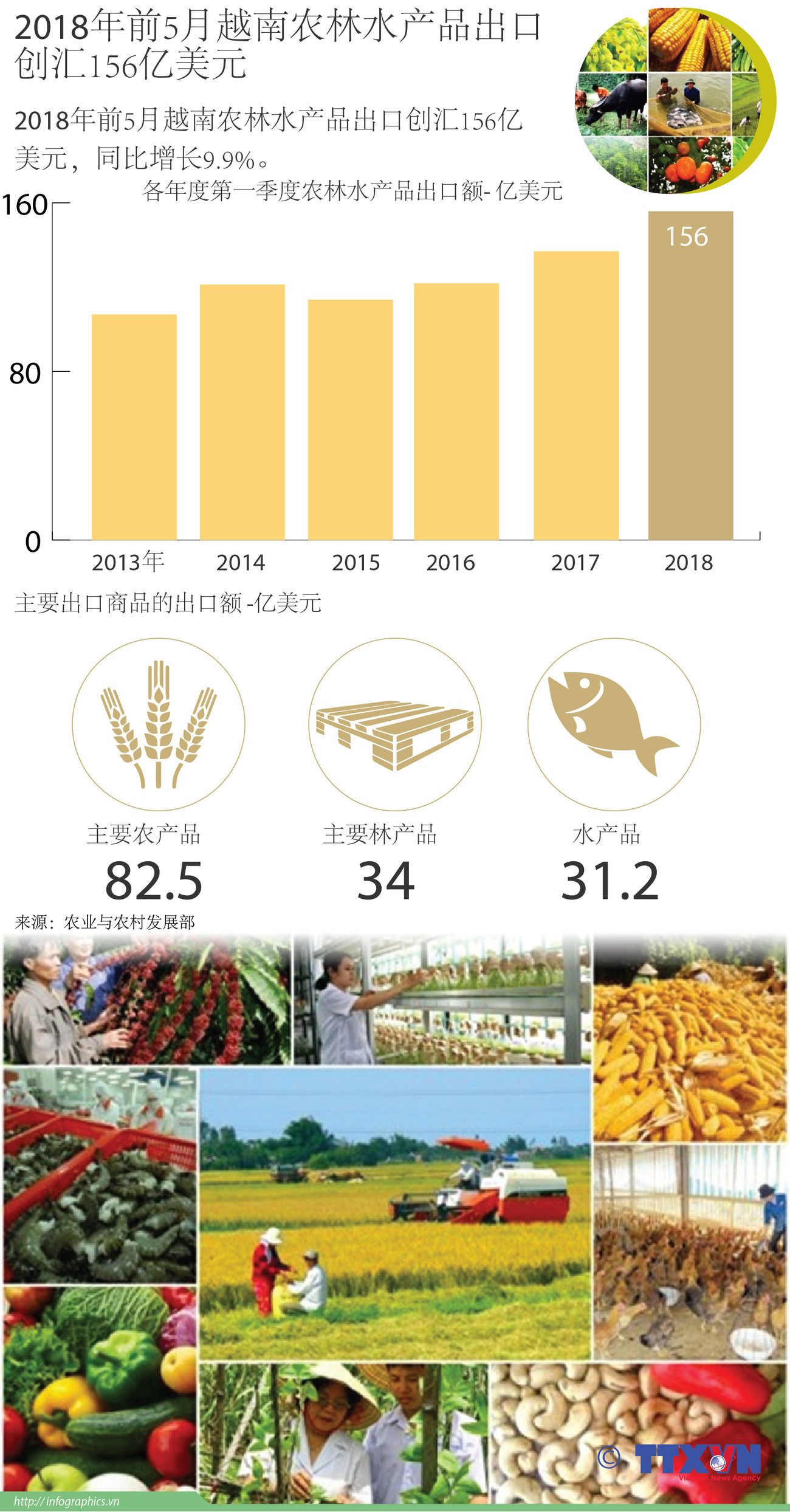  图表新闻：2018年前5月越南农林水产品出口创汇156亿美元 ảnh 1