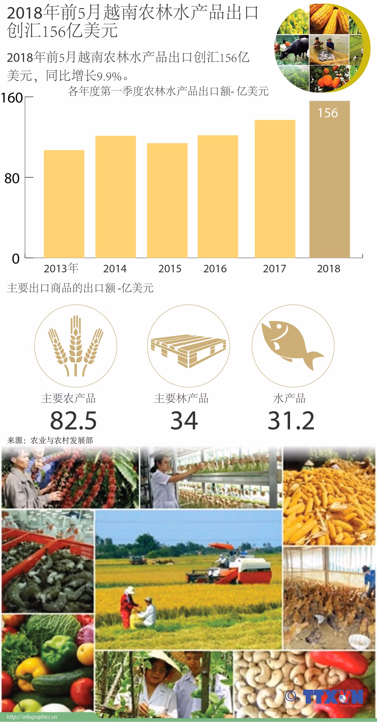 图表新闻：2018年前5月越南农林水产品出口创汇156亿美元 ảnh 1