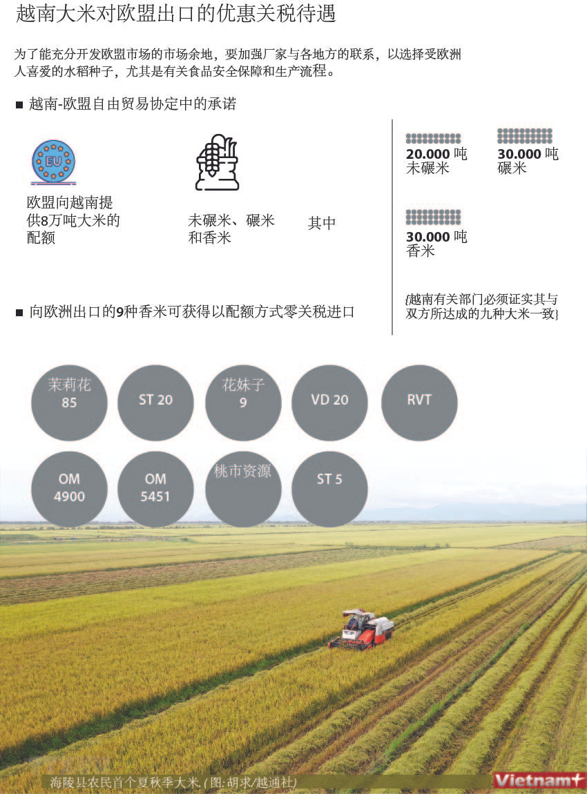 图表新闻： 越南大米对欧盟出口的优惠关税待遇 ảnh 1
