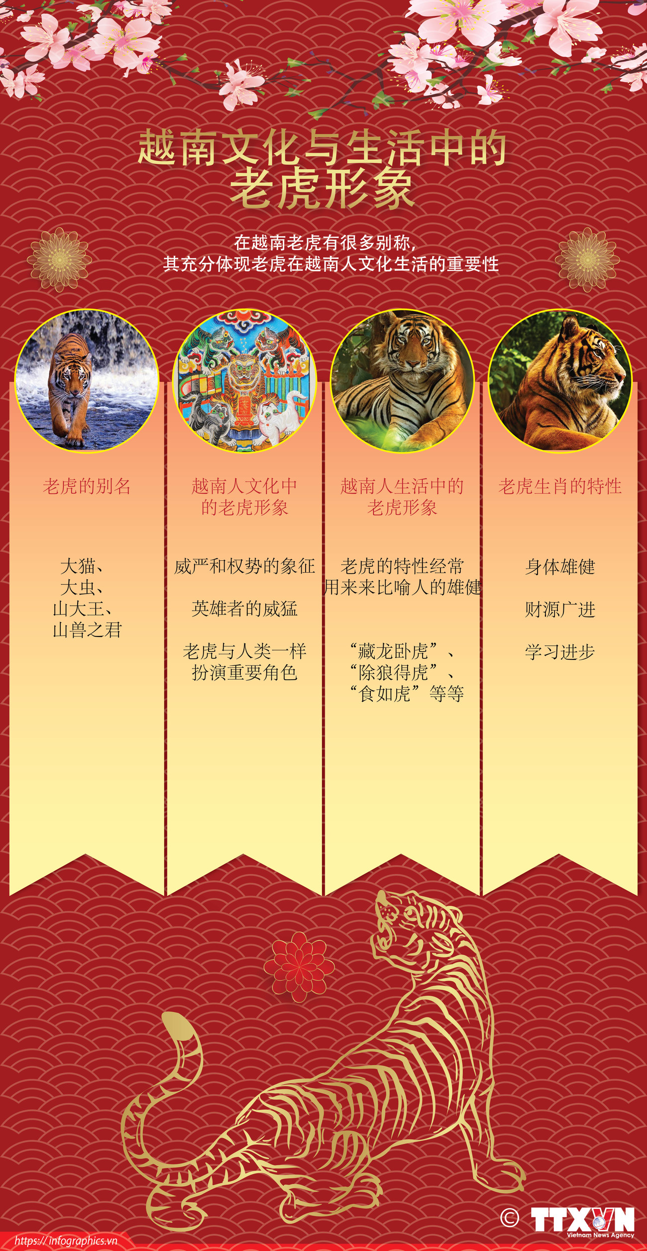 图表新闻：越南文化与生活中的老虎形象 ảnh 1