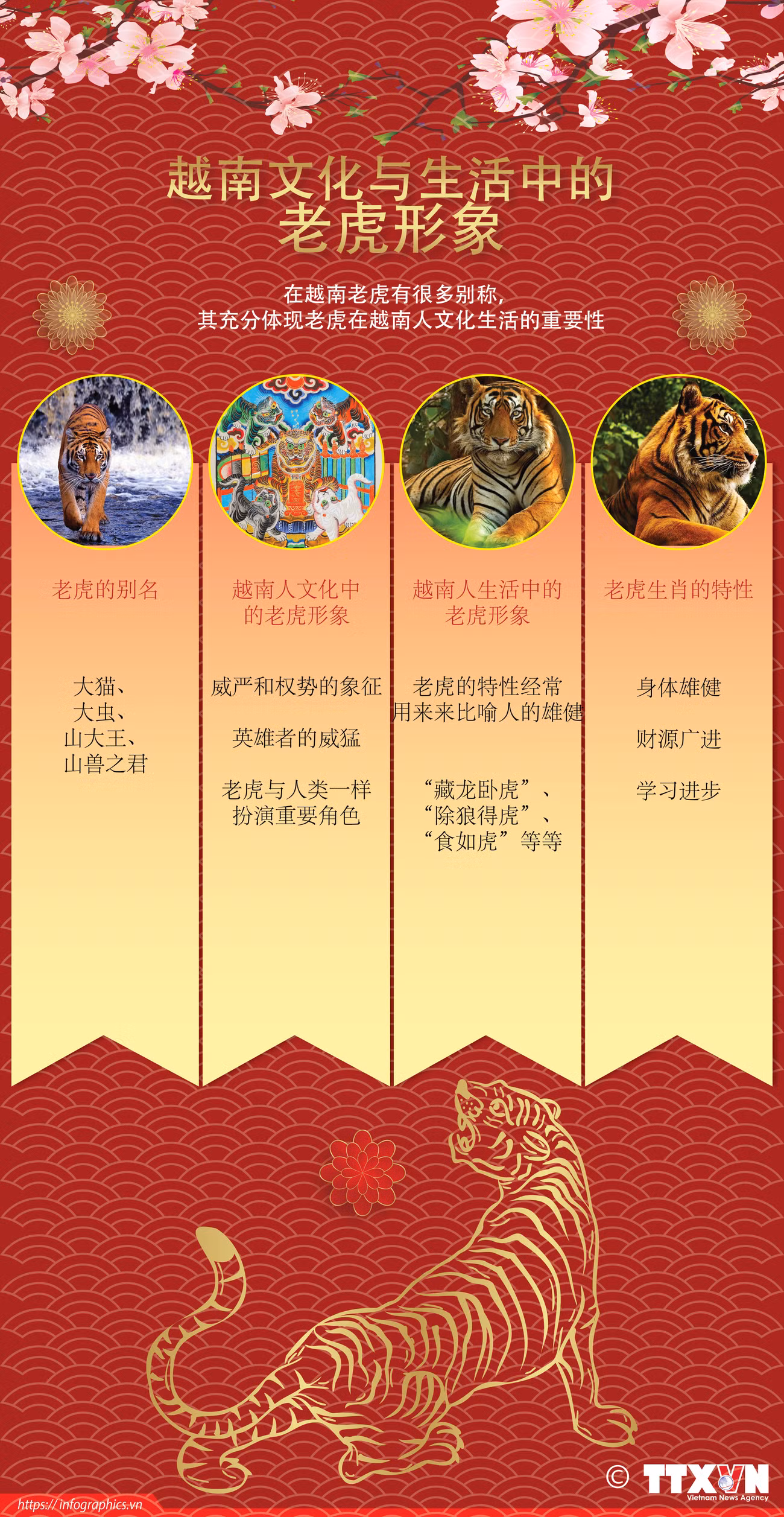 图表新闻：越南文化与生活中的老虎形象 ảnh 1
