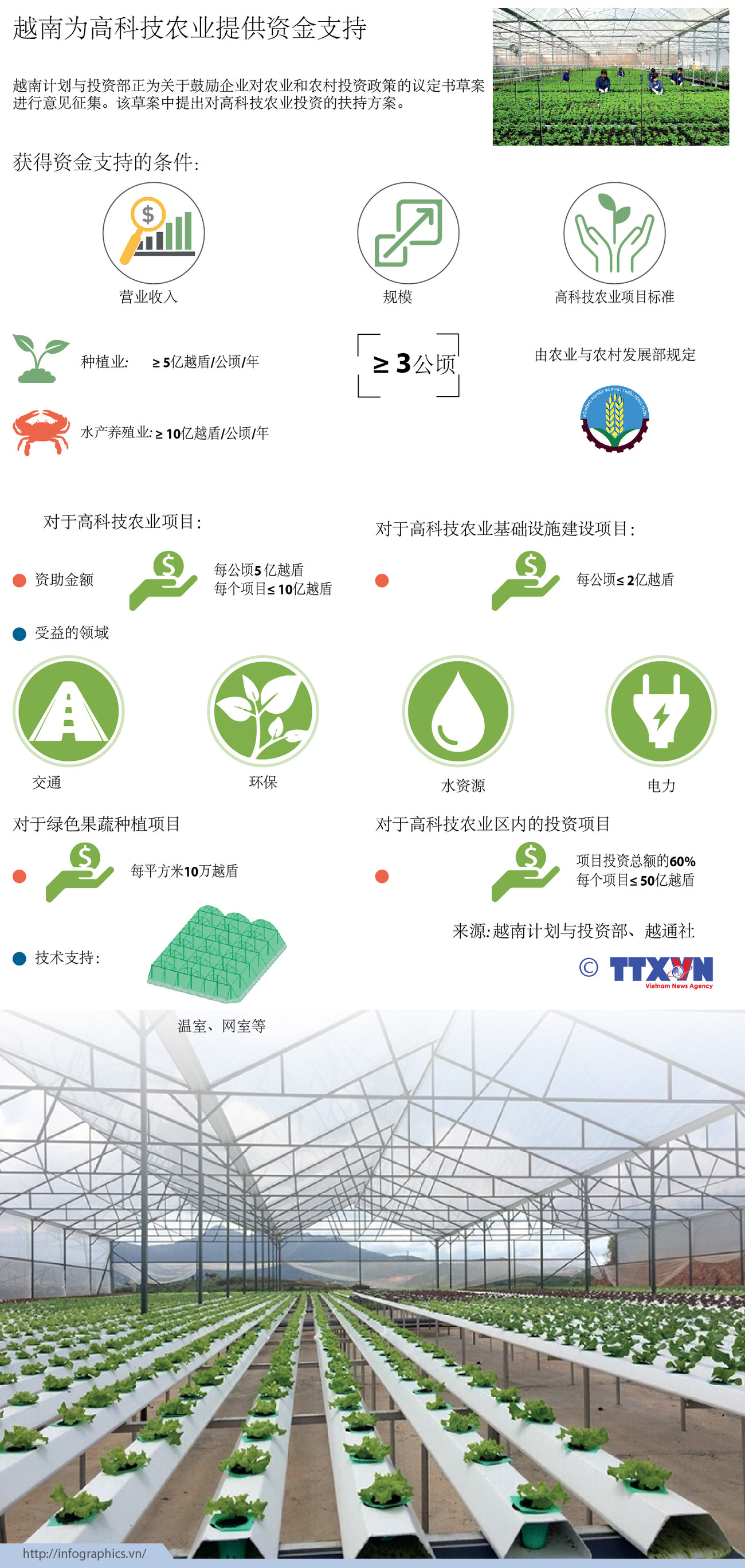 越南为高科技农业提供资金支持 ảnh 1