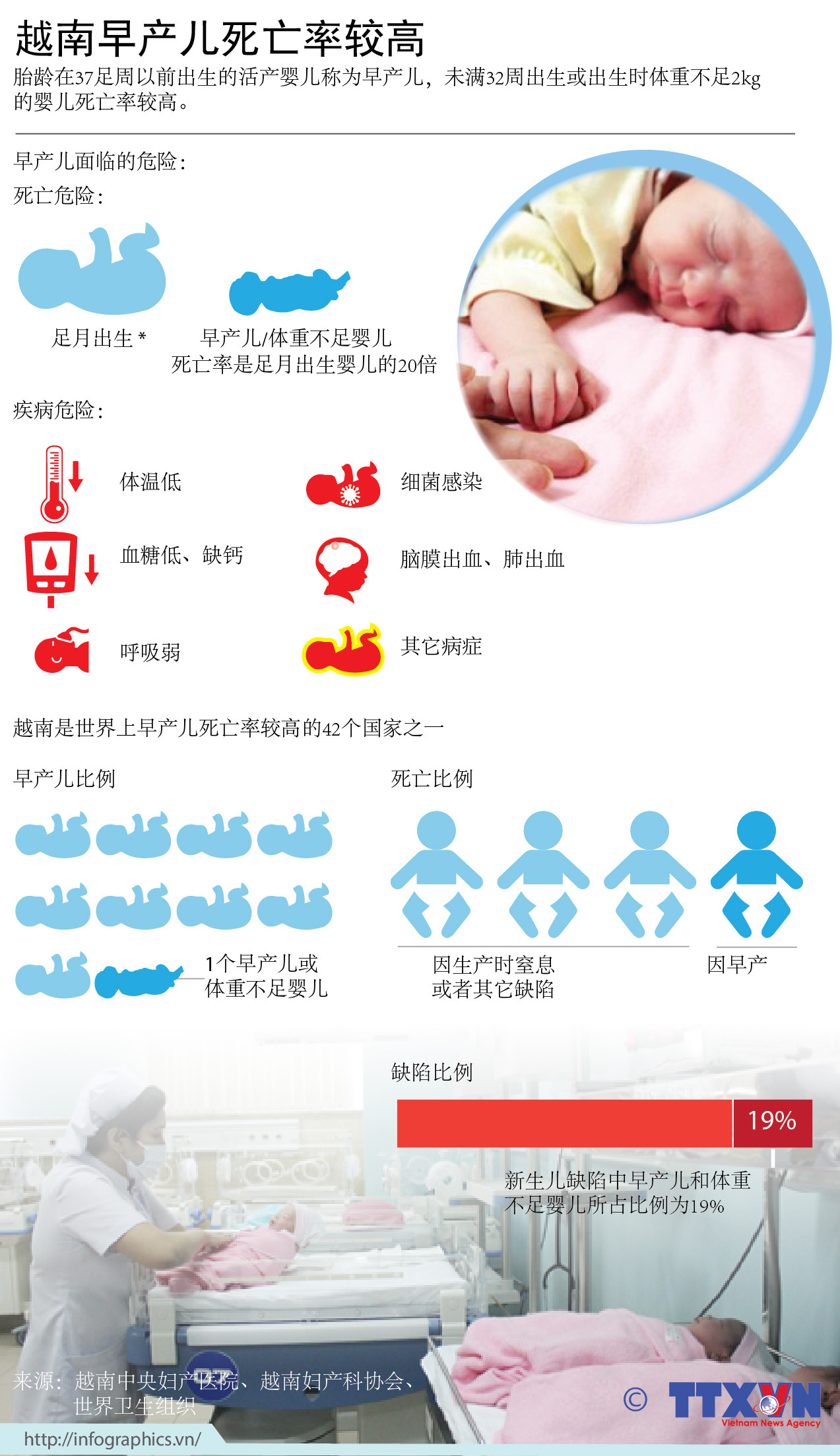 图表新闻：越南早产儿死亡率处于较高水平 ảnh 1