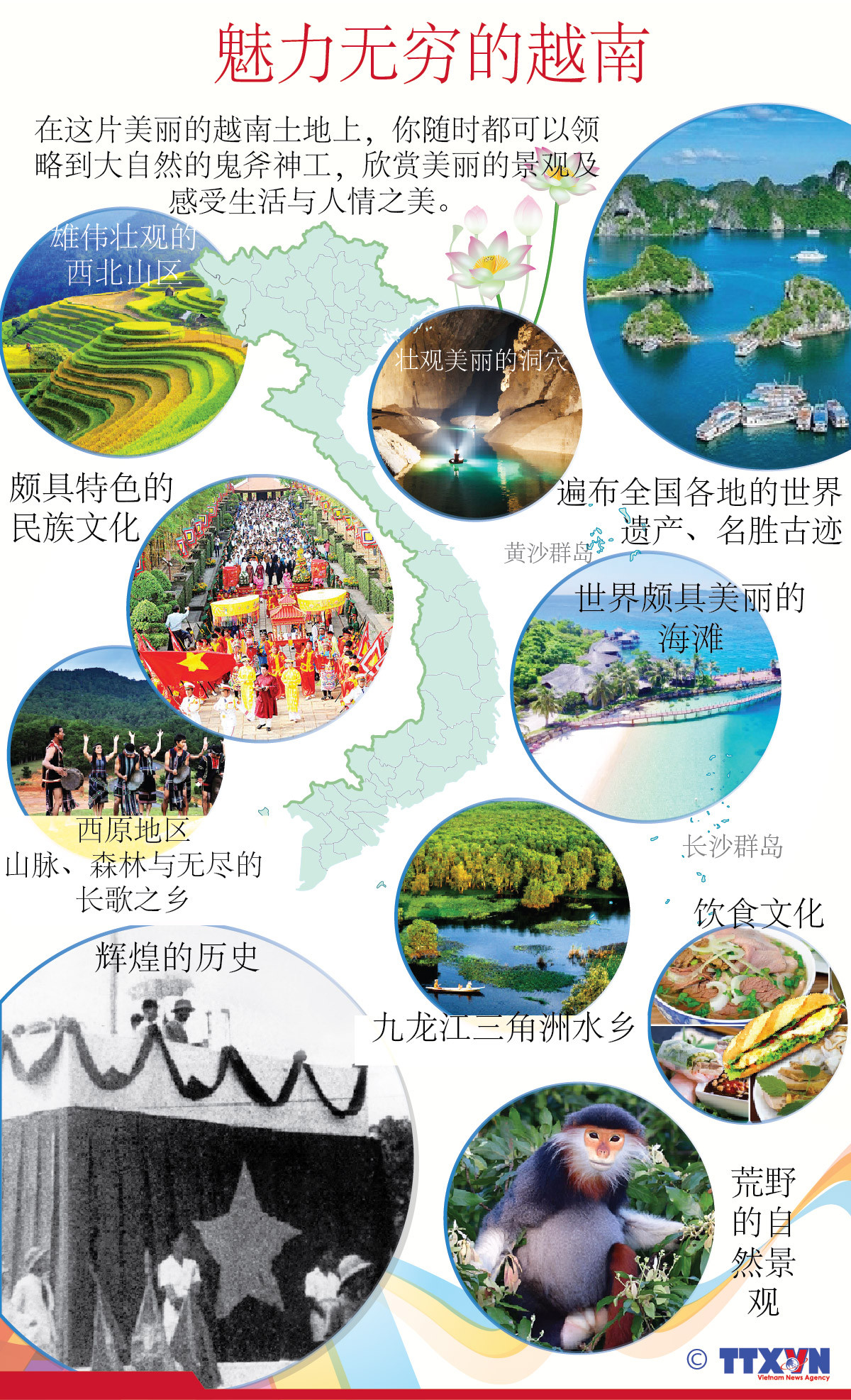 图表新闻：魅力无穷的越南 ảnh 1