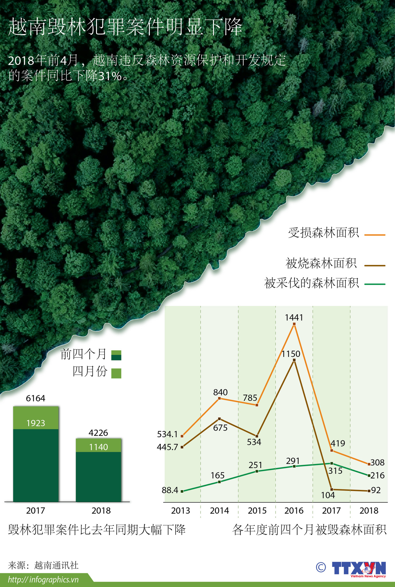 图表新闻：越南毁林犯罪案件明显下降 ảnh 1