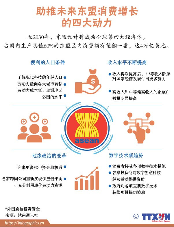 图表新闻：助推未来东盟消费增长的四大动力 ảnh 1