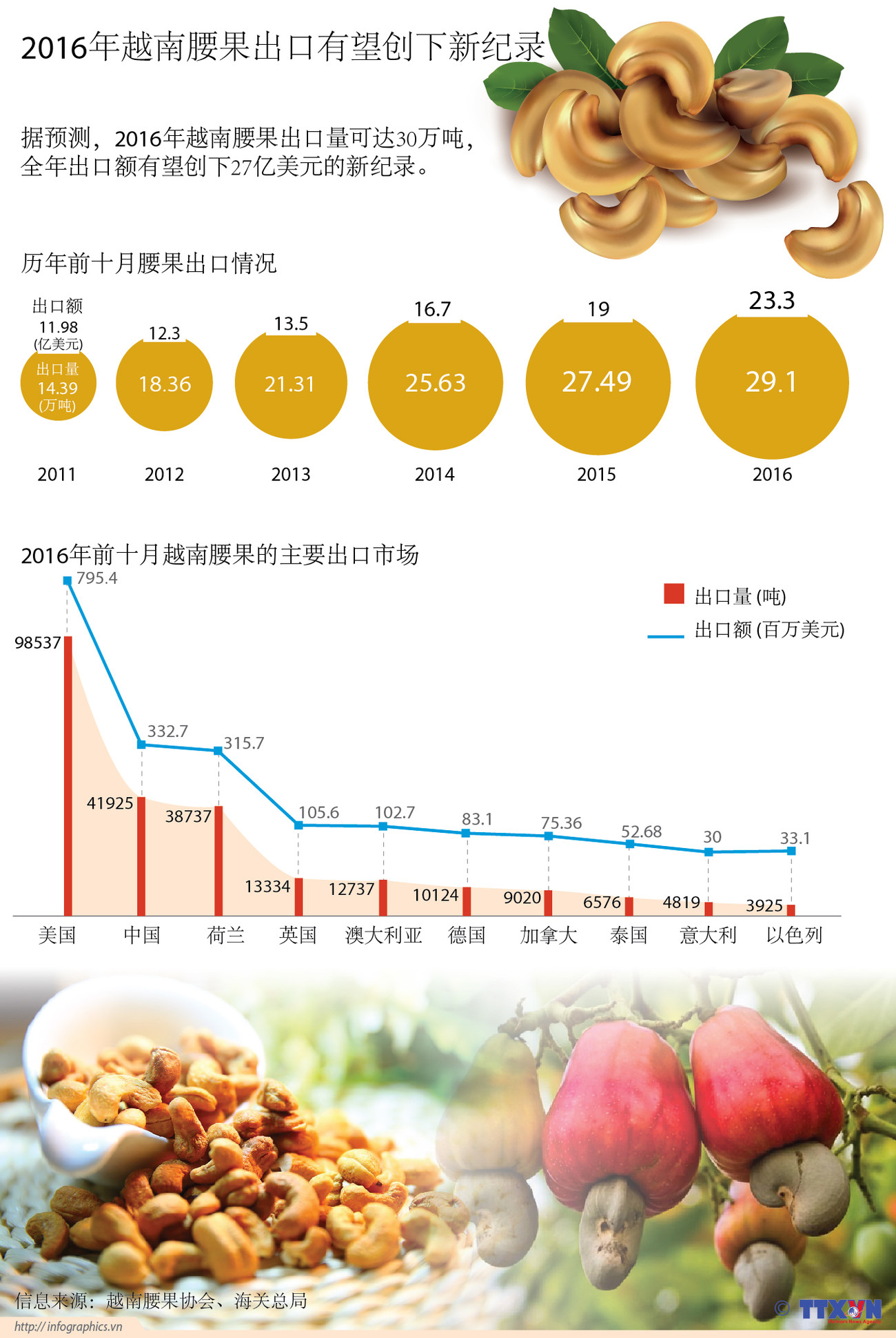 2016年越南腰果出口有望创下新纪录 ảnh 1