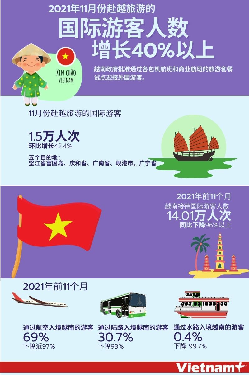 图表新闻：11月份赴越旅游的国际游客人数增长40%以上 ảnh 1
