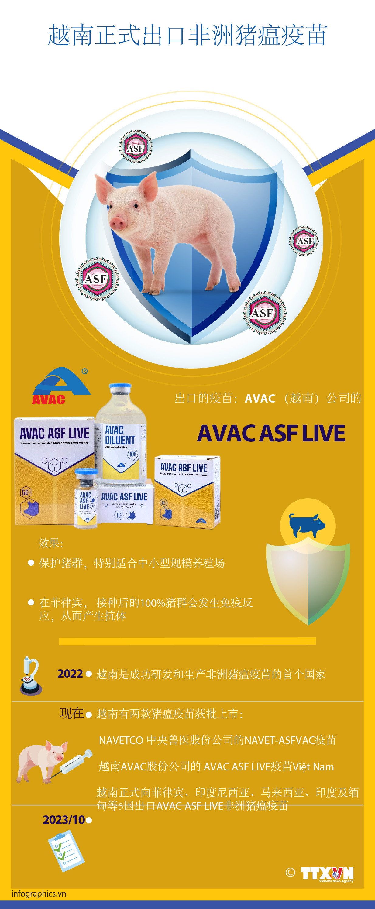 图表新闻：越南正式出口非洲猪瘟疫苗 ảnh 1